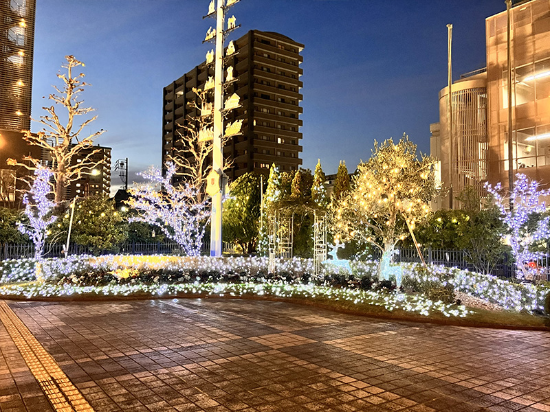 浜松市内 レストラン